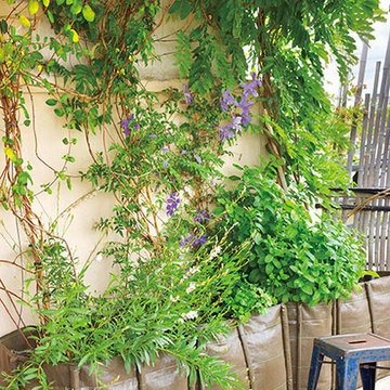 Terrasse Paris ©EditionsPaumes