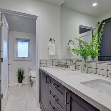 Mastersuite and Hall Bathroom Remodel
