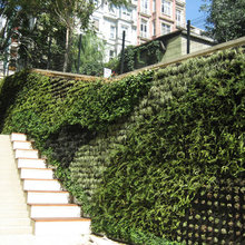 outdoor stairs
