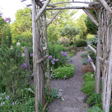 Cottage Garden
