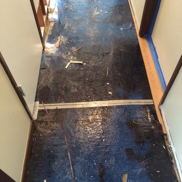 Toilet Leak