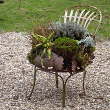 focus chairs -garden