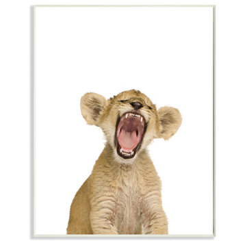 Baby Lion Cub Studio Photo, Plaque, 10"x15"