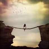 Veronica Dobos's photo