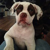 Billy Woods's photo