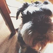 Ditty Hos foto