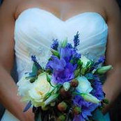 Jessica Bird's photo