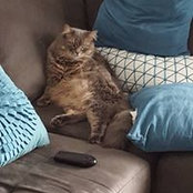 Adam Vickers's photo