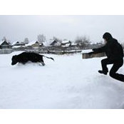Roman Karimov's photo