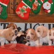 Foto von Chasity Barkley