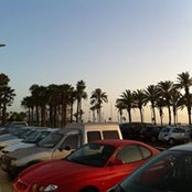 Kevin Ritchie's photo