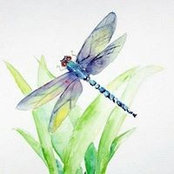 Lilly Warden's photo