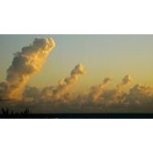 Philip Atwell's photo