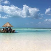 Bin Chen-Kirschner's photo