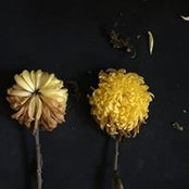 Jerlian Tsao's photo