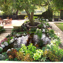 straight w/freeform pond