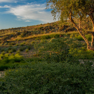 Edna Valley Shangri-La