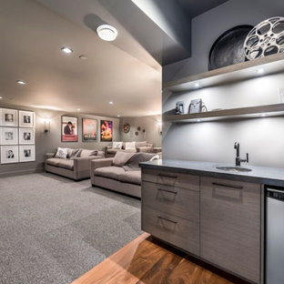 Trendy home theater photo in Other