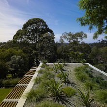 Green roofs