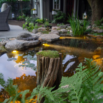 Urban Oasis