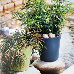 Italian REAL Colored Clay Flowerpots - Outdoor Pots And Planters