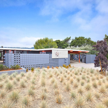 X-100 Eichler Homes, San Mateo Highlands