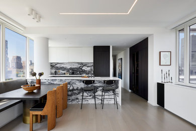 Kitchen - contemporary kitchen idea in New York