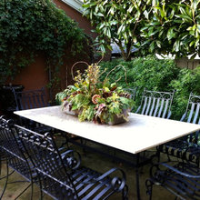 holiday plants