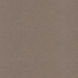 Caesarstone - Ginger - Kitchen Benchtops