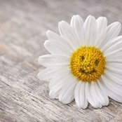 Nashwa Alaa's photo
