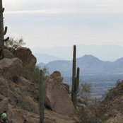 Cyndi Smith's photo