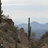 Cyndi Smith's photo