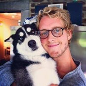 Arnaud Westhof's photo