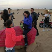 Lily Chen's photo
