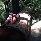 Sarah Brown's photo