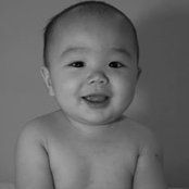 Max Lees foto
