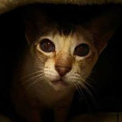 Marvi Catalisano's photo