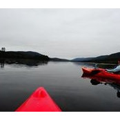 Kim Ann's photo