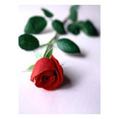 Sheila Dudley's photo