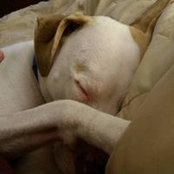 Marika Hamilton-Meeks's photo