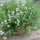 webuser_240261