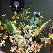 Nadia Boyce's photo