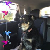Jacque Williams's photo