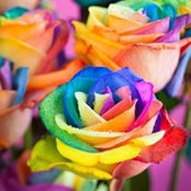Peggy Switzer's photo