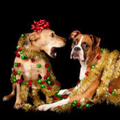 Jessica Wiedmaier's photo