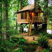 Tree house
