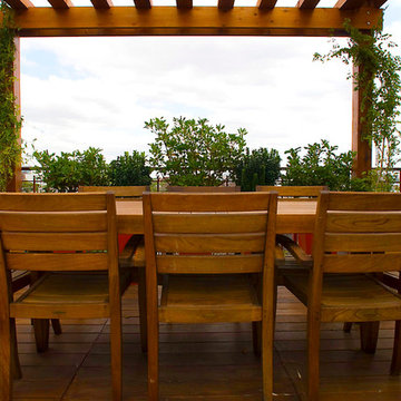 Urban Roof Terrace