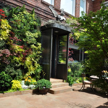 Landscape Ideas
