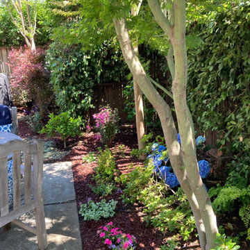 Los Altos | New Small Space Transformed