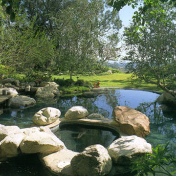 Pools & Water Features